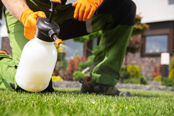 Best Rodent Control Near Me  in Carrollwood, FL