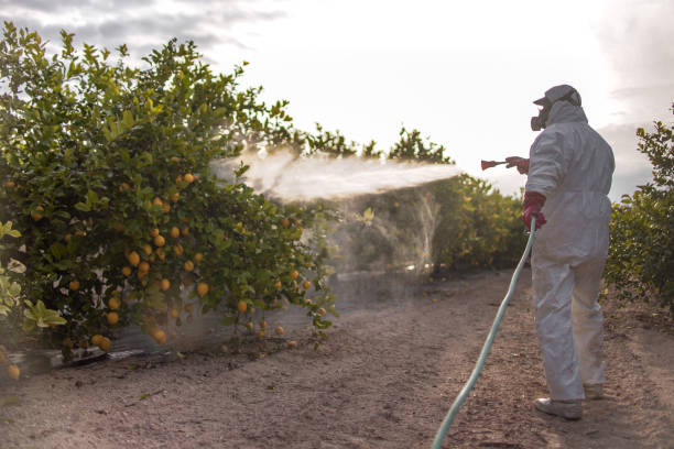 Carrollwood, FL Pest Control Company