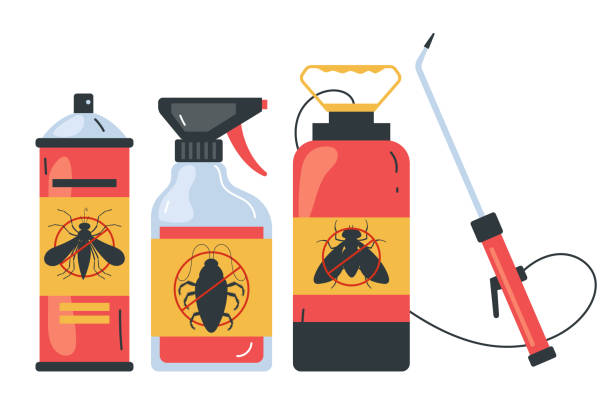 Professional Pest Control in Carrollwood, FL